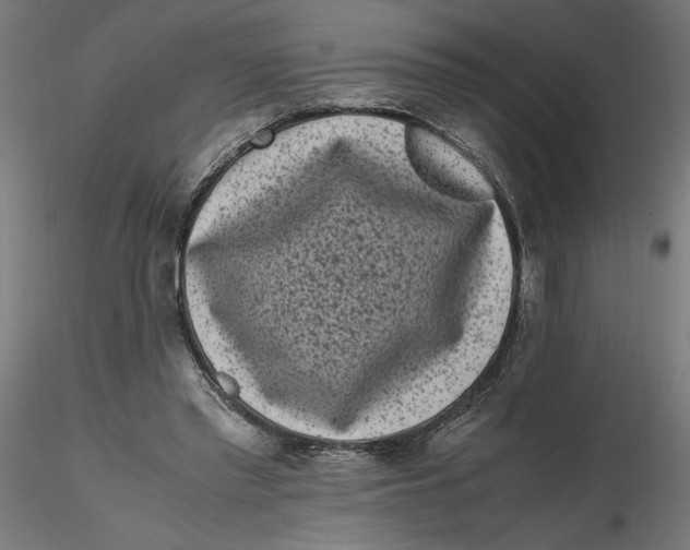 X0000116760397201001071159