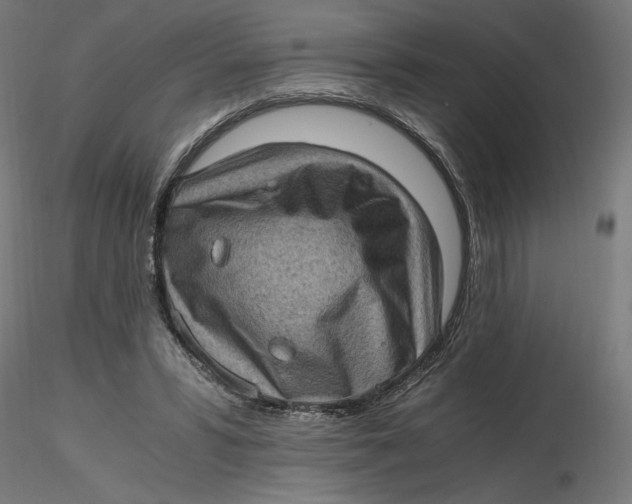 X0000116760399201001071159