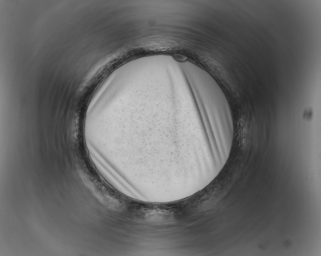 X0000116760400201001071159