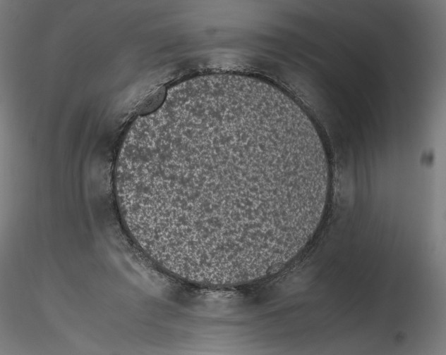 X0000116760401201001071159