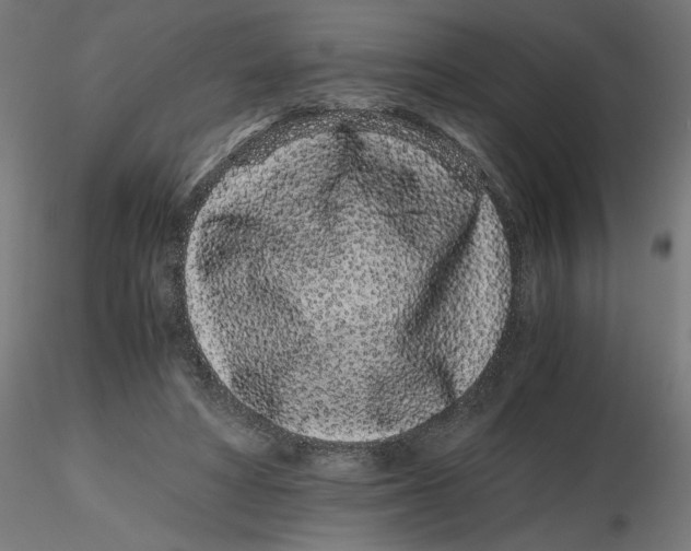 X0000116760402201001071159