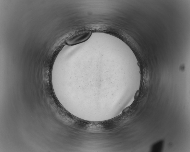 X0000116760403201001071159