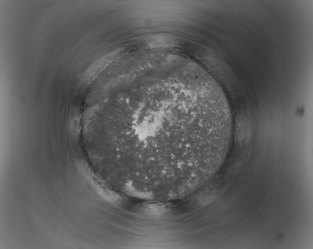 X0000116760405201001071159