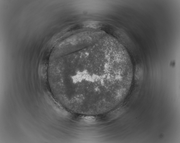 X0000116760409201001071159