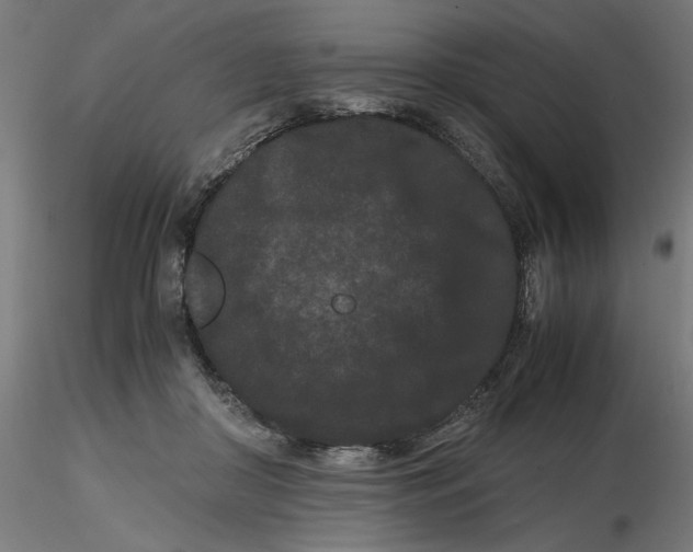 X0000116760410201001071159