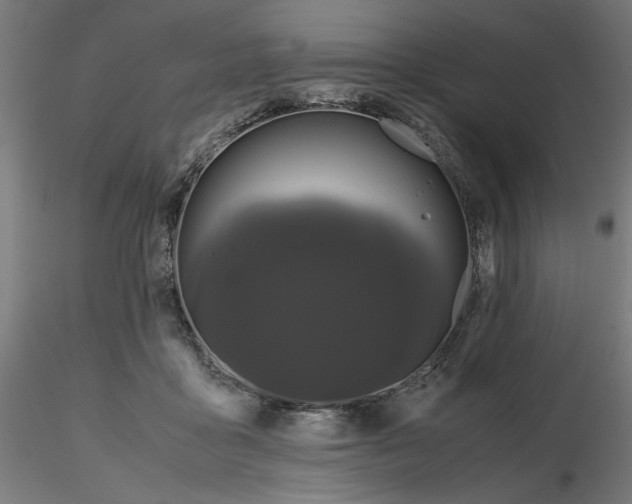 X0000116760411201001071159