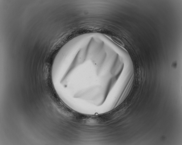 X0000116760412201001071159