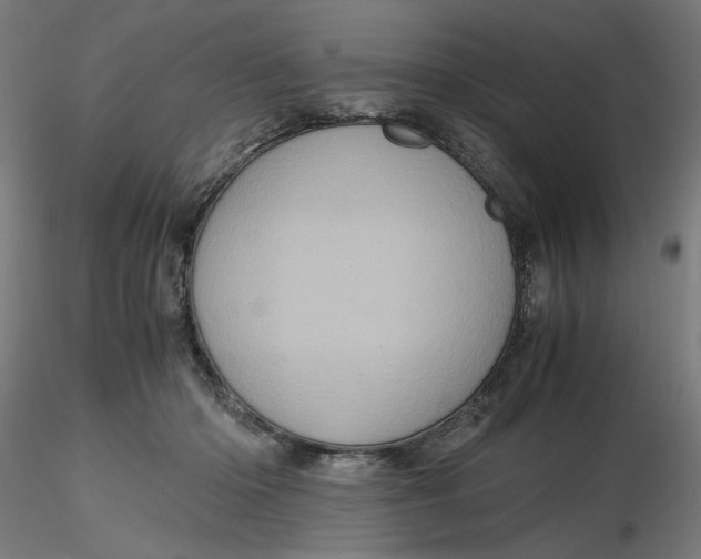 X0000116760414201001071159