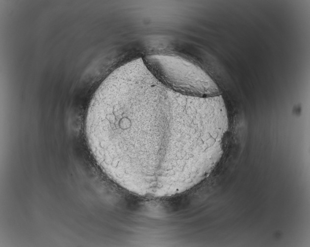 X0000116760417201001071159