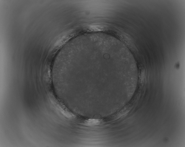 X0000116760418201001071159