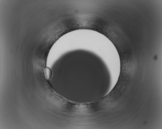 X0000116760419201001071159