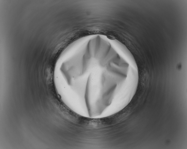 X0000116760420201001071159