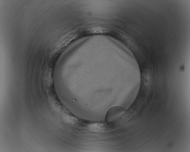 X0000116760422201001071159