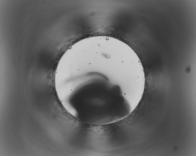 X0000116760423201001071159