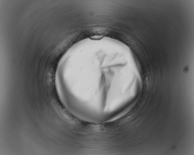 X0000116760424201001071159