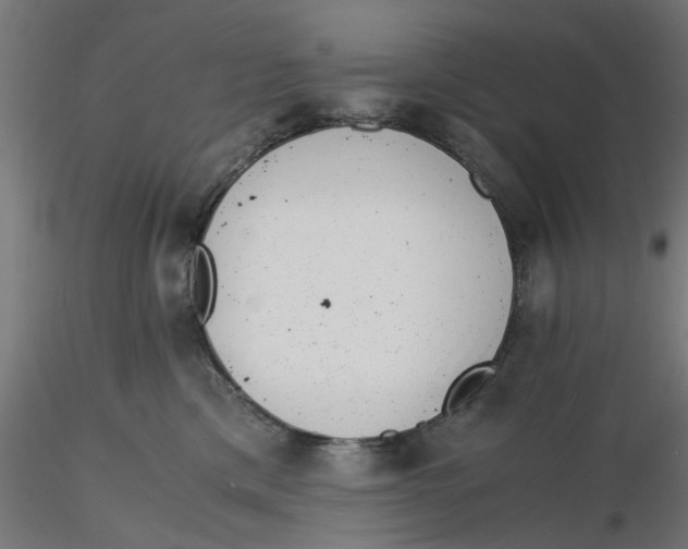 X0000116760425201001071159