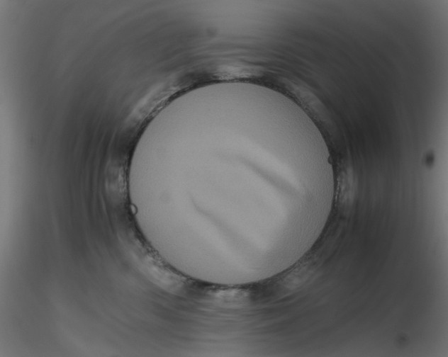 X0000116760426201001071159