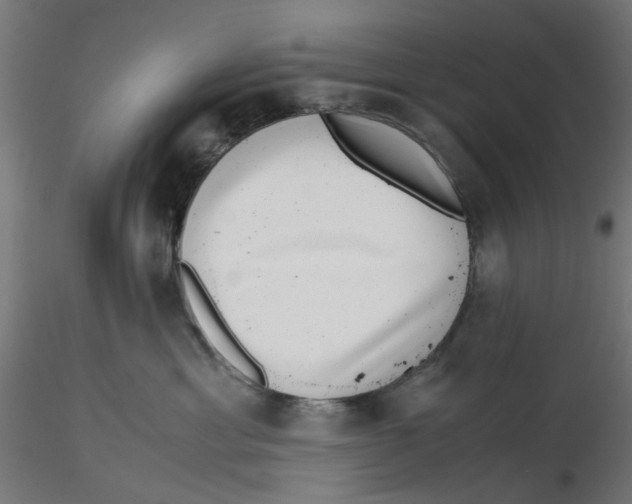 X0000116760429201001071159