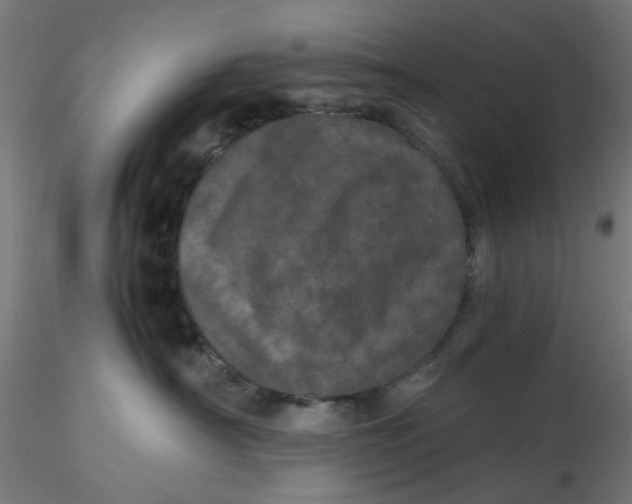 X0000116760430201001071159