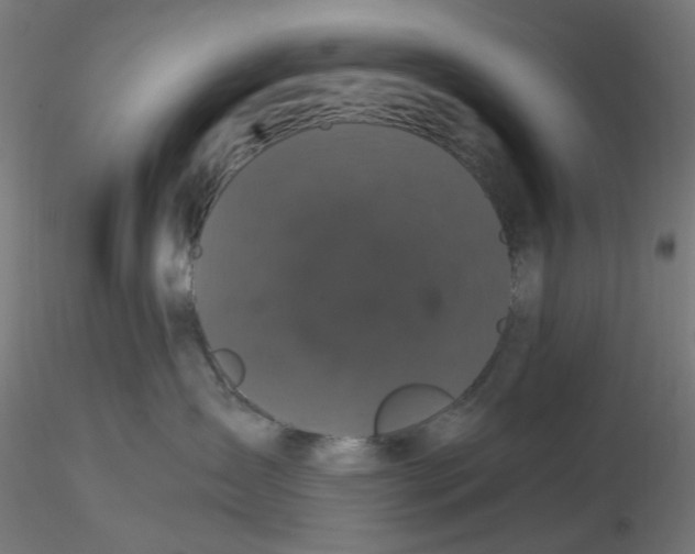 X0000116760431201001071159