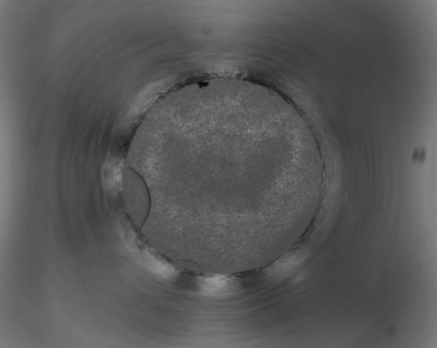 X0000116760432201001071159