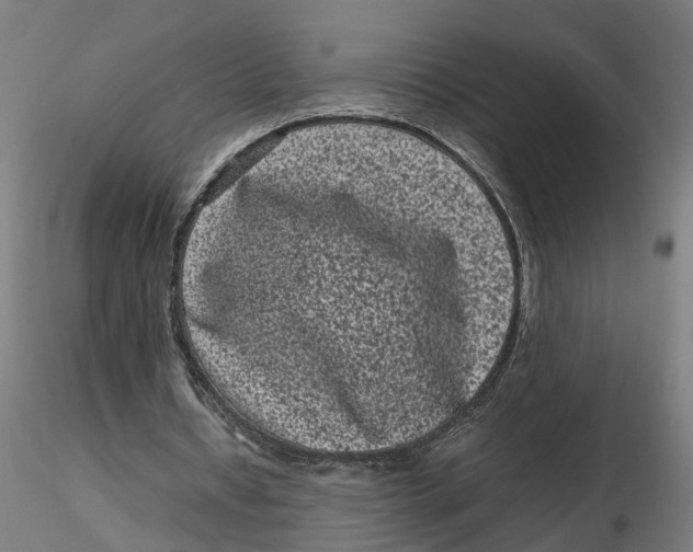 X0000116760434201001071158