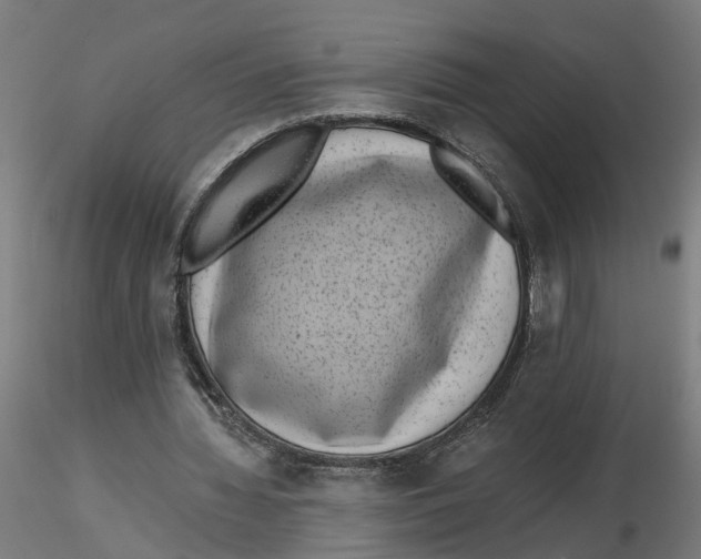 X0000116760436201001071158