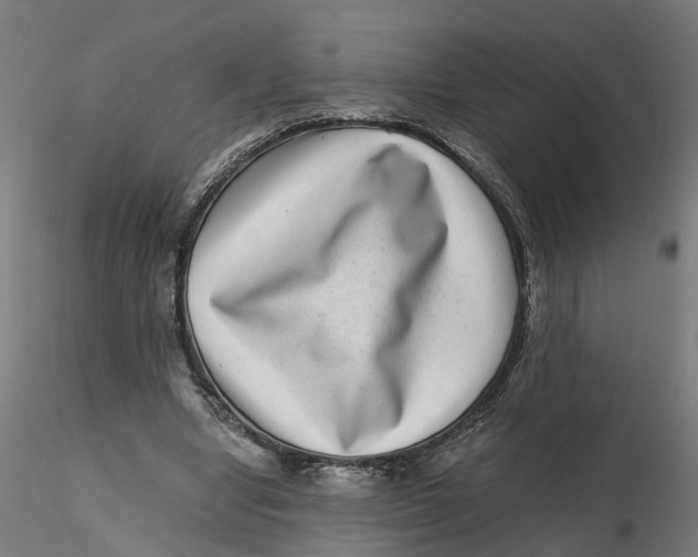 X0000116760442201001071158