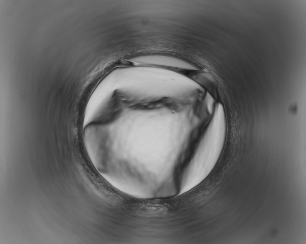 X0000116760443201001071158