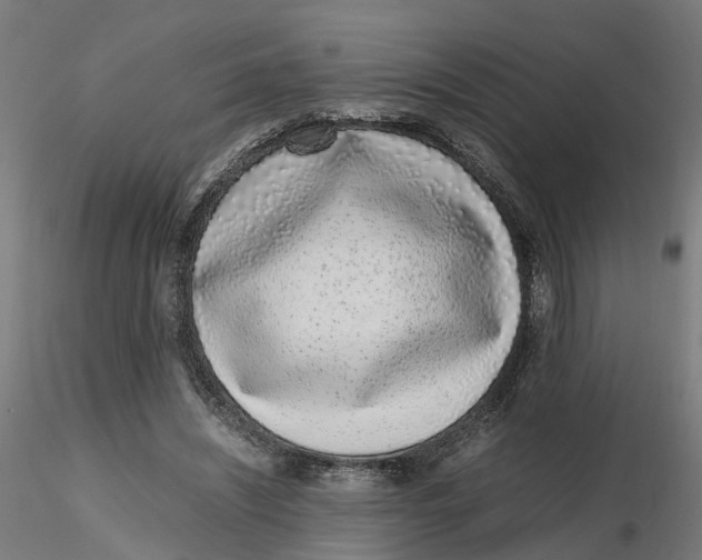 X0000116760444201001071158