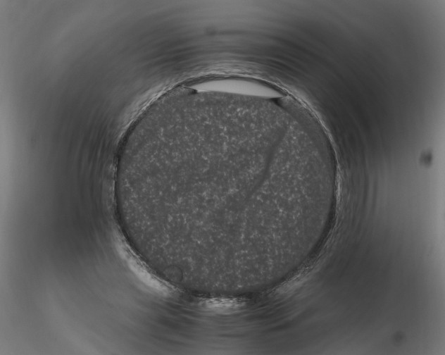 X0000116760445201001071158