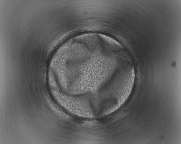 X0000116760446201001071158