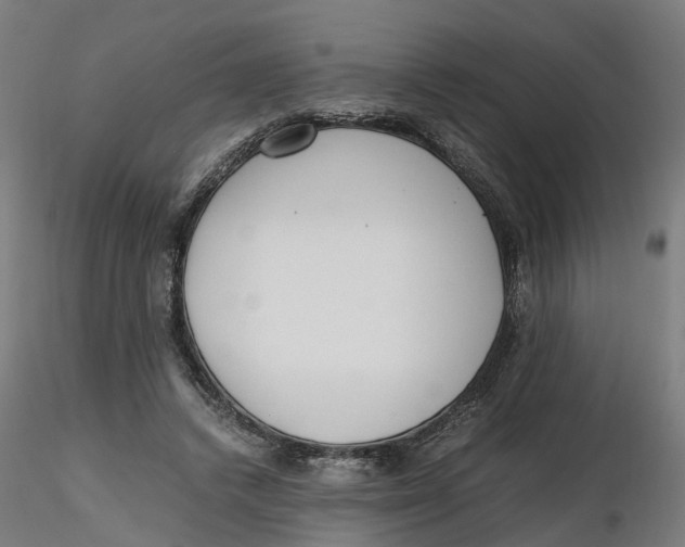 X0000116760448201001071158