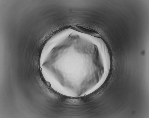 X0000116760449201001071159