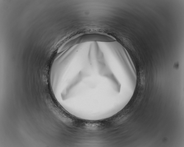 X0000116760450201001071159