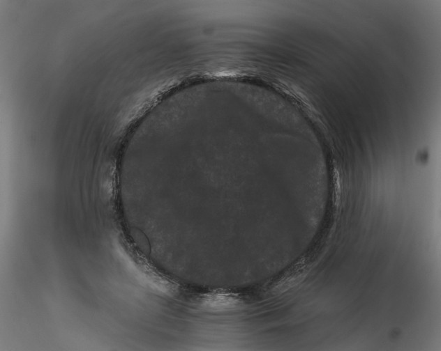 X0000116760451201001071159