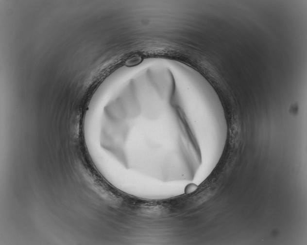 X0000116760454201001071159