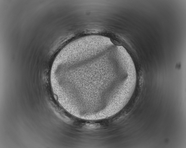 X0000116760455201001071159