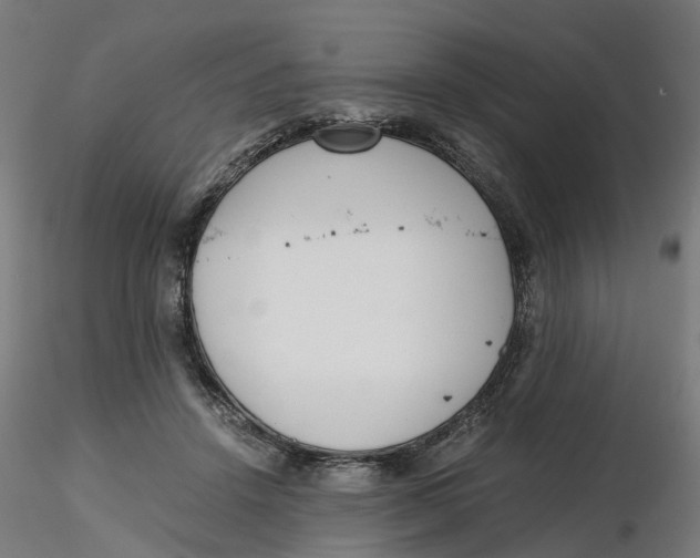 X0000116760456201001071159