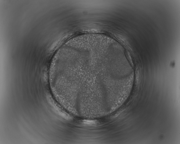 X0000116760457201001071159