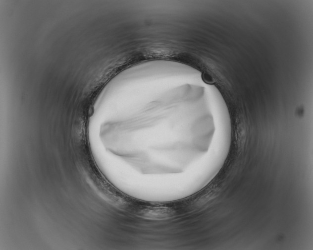 X0000116760459201001071159