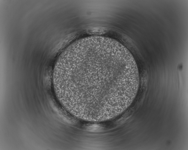 X0000116760460201001071159