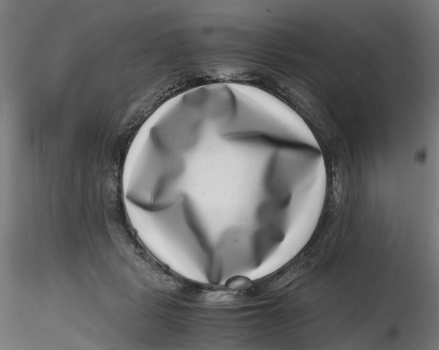 X0000116760461201001071159