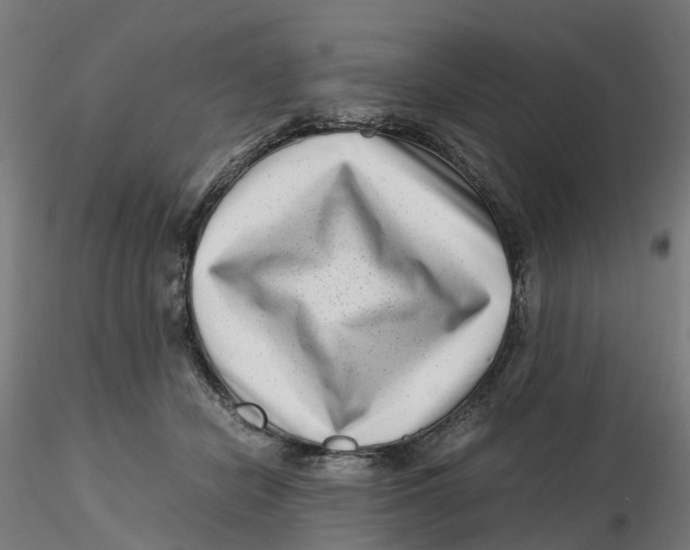 X0000116760462201001071159