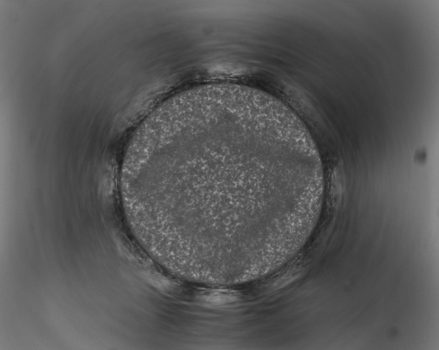 X0000116760463201001071159