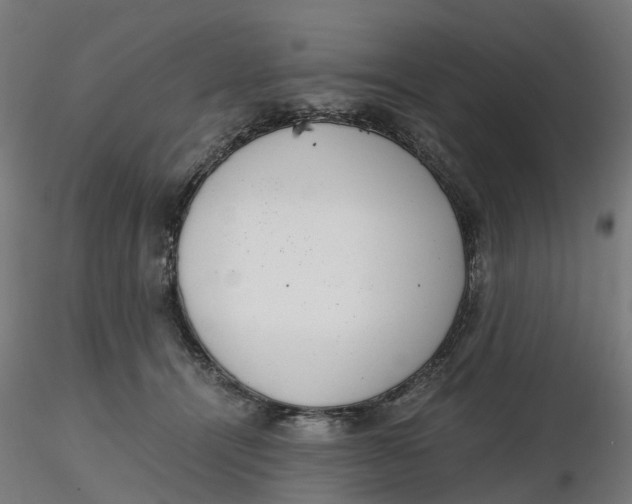 X0000116760464201001071159