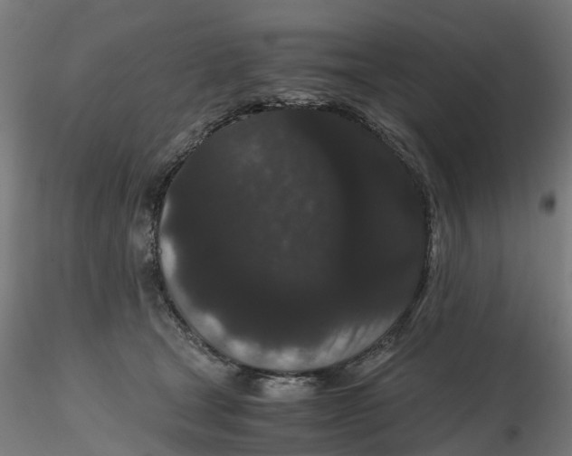 X0000116760465201001071159