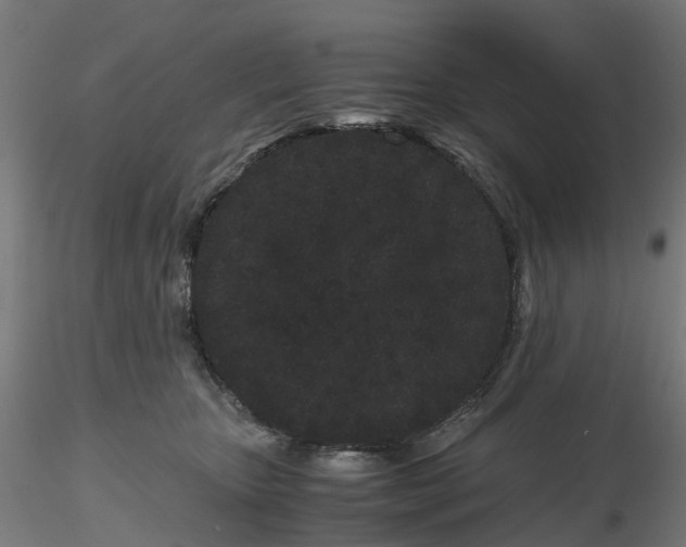 X0000116760467201001071159