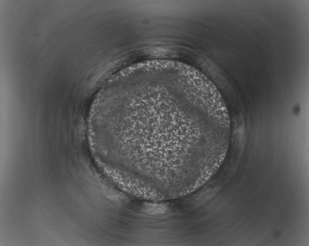 X0000116760469201001071159