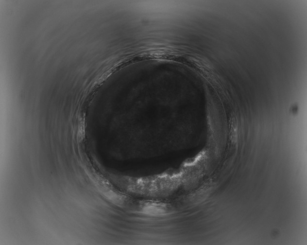 X0000116760471201001071159